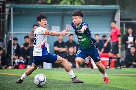 青少年足球训练内幕揭秘 高额收费与潜规则引发关注